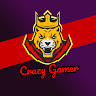 Crazy Gamer
