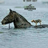 Funny Memes