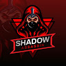 SHADOW ASSASSIN