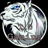 T_G Gaming