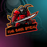 Bihar Gamer Official