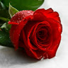 Muhammad Asim