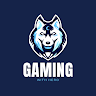 Gaming With Hero