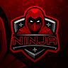 NINJA GAMER
