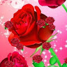 DILDARH USSAIN