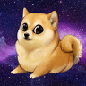SHIBA RO
