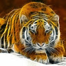 Md Sahil