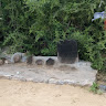 Bharat Saran Saran