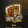 LION X ARMY YT