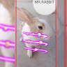 ACTOR MR.RABBIT