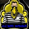 Dj Srk Gamer