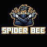 Spiderboy