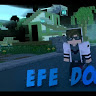 EFE DOGAN