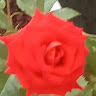 Sabna Sameer