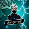 Star Gaming
