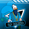 C.P GAMING