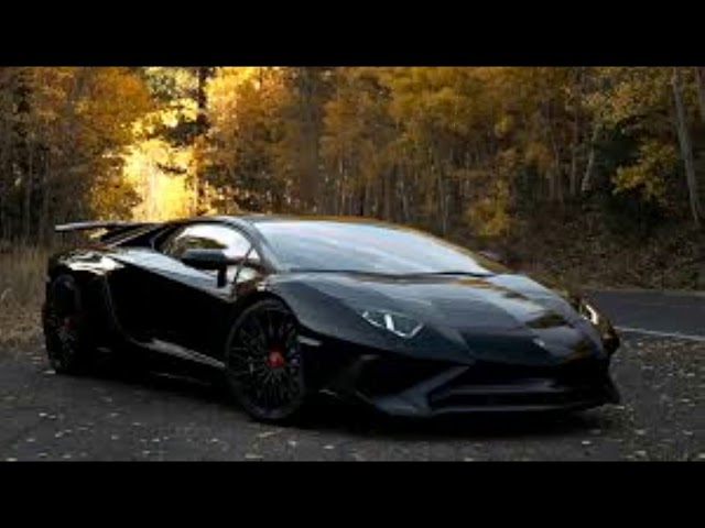 lamborghini saved from fire