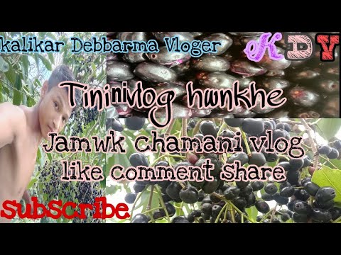 Tini ni vlog hwn khe jamwk chamani vlog ll kalikar Debbarma Vloger