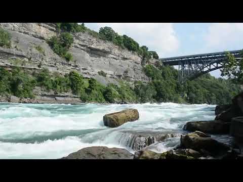 new whatsappflo wingRivers -free copeyrigt status video2021#short