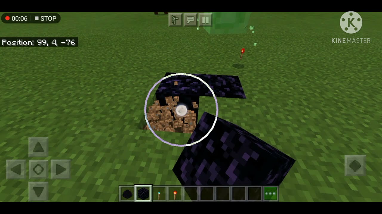 How to hatch ender dragon egg 100%
