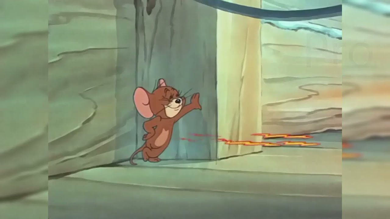 How People Use Different Methods To  Catches The Mouse