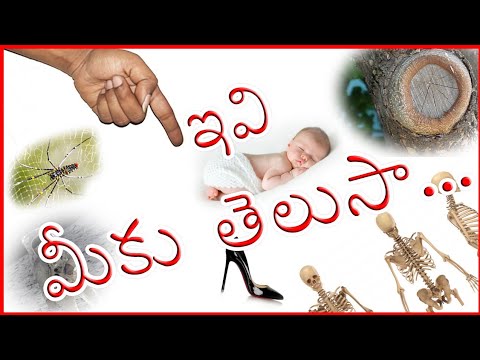 మీకు తెలియని ఎన్నో విషయాలు .....