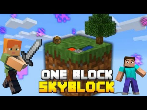 Minecraft Skyblock : A New Journey (#1)