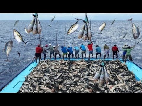 क्यों मछली पकड़ने वाले लोग ऐसे सिर ढक कर बैठते है Why Indian Fishermen Cover Their Head With Blankets
