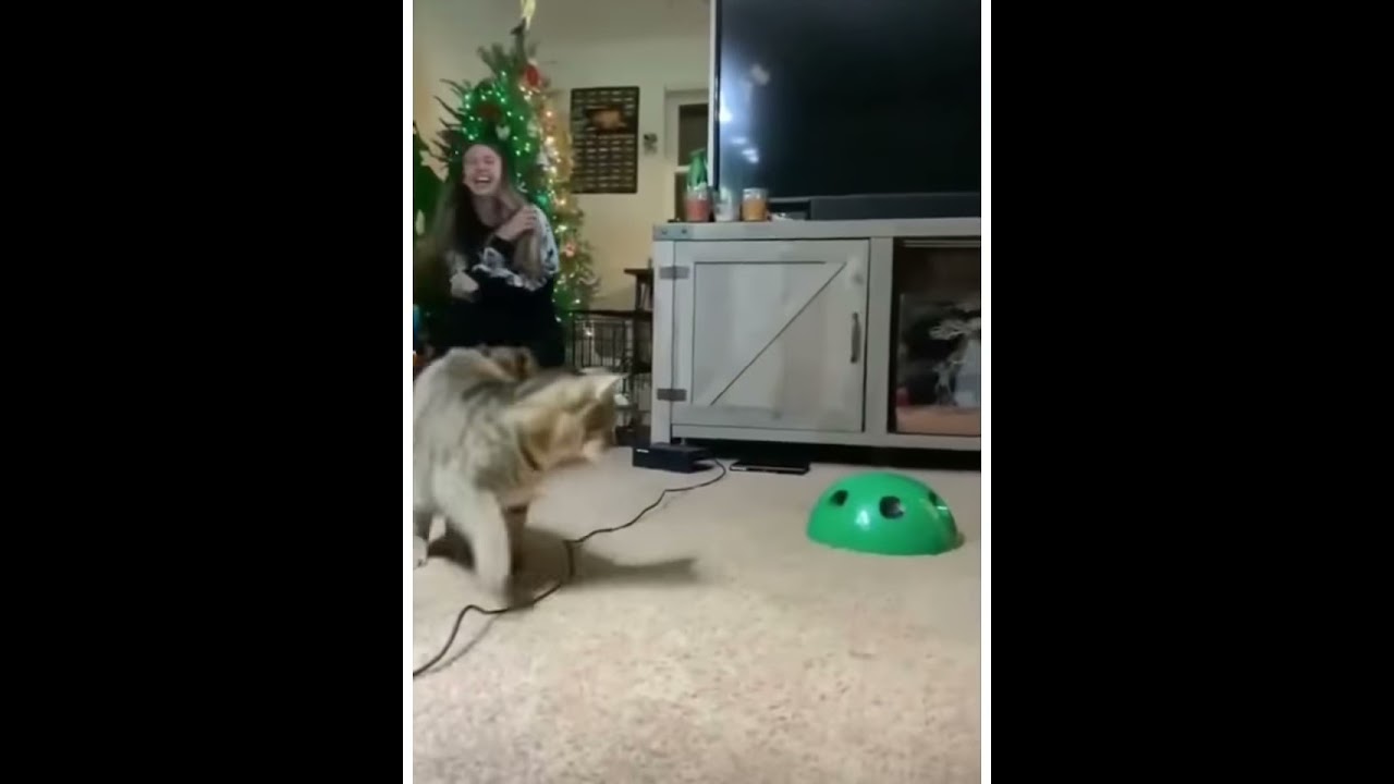 10 funny video from moj ❤️❤️❤️❤️❤️❤️❤️????????????