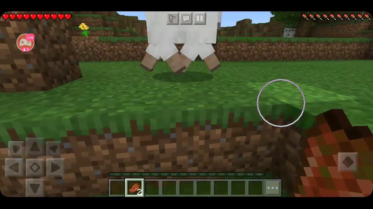 Minecraft live