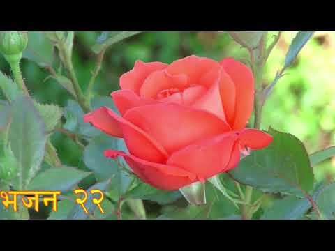 Psalms 21 to 41 in Nepali Language भजनसंग्रह  २१ देखि ४१ सम्म नेपाली भाषामा