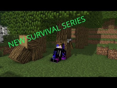 NEW SURVIVAL SERIES#MINICRAFT#1