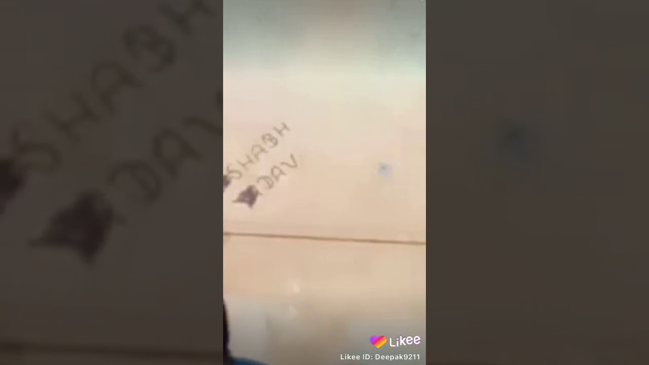 Tiktok ki backchodi
