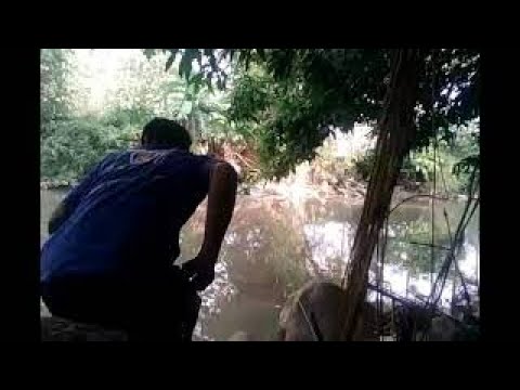 Mancing udang