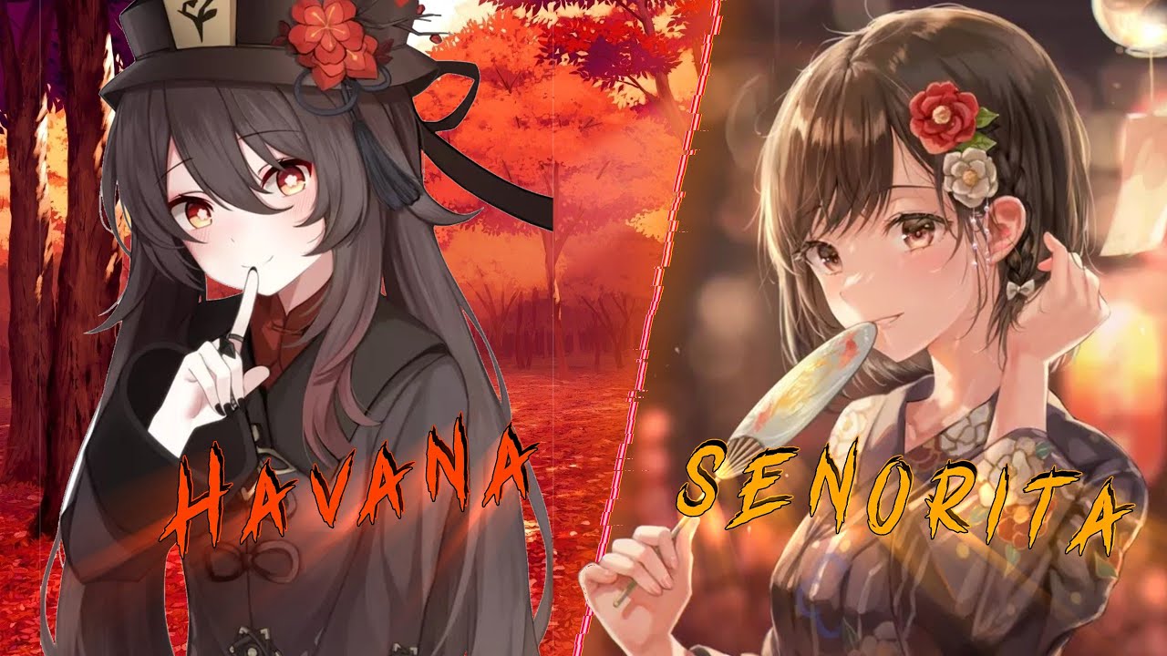 Havana X Señorita Nightcore Mashup