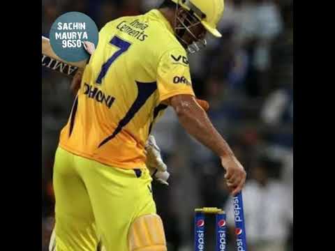 Ms dhoni stump को क्यों उखाड़ कर लें जाते हैं।। #backtobasics #sachinmaurya9650 #msdhoni #shorts #yt