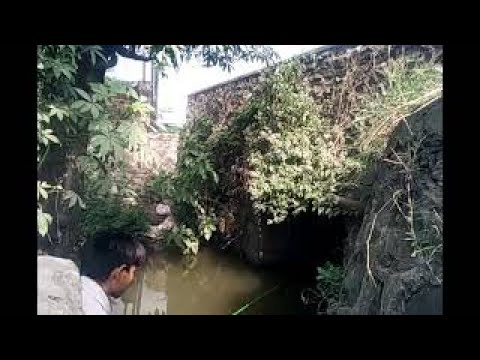 Mancing ikan nila