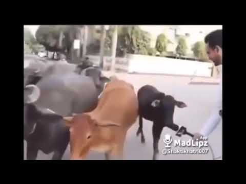 very funny ??