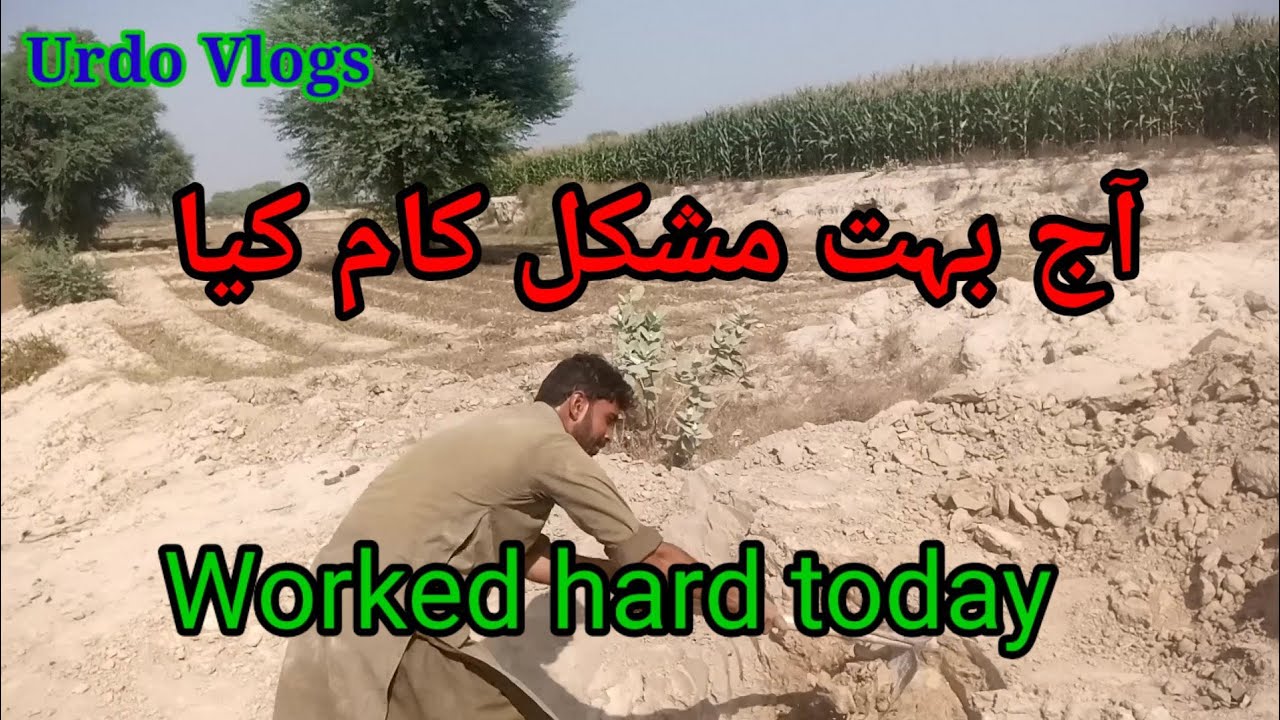 Worked Hard Today | Very Hard Wark In Velleg | Urdo Vlogs