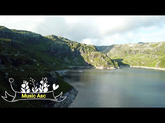 Unknown Brain Faceless (Album Mix) Music Asc