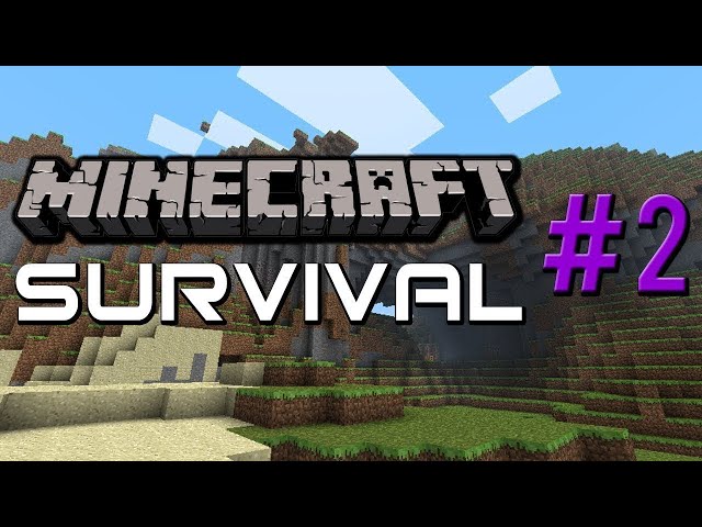 MINERCRAFT SURVIVAL #2