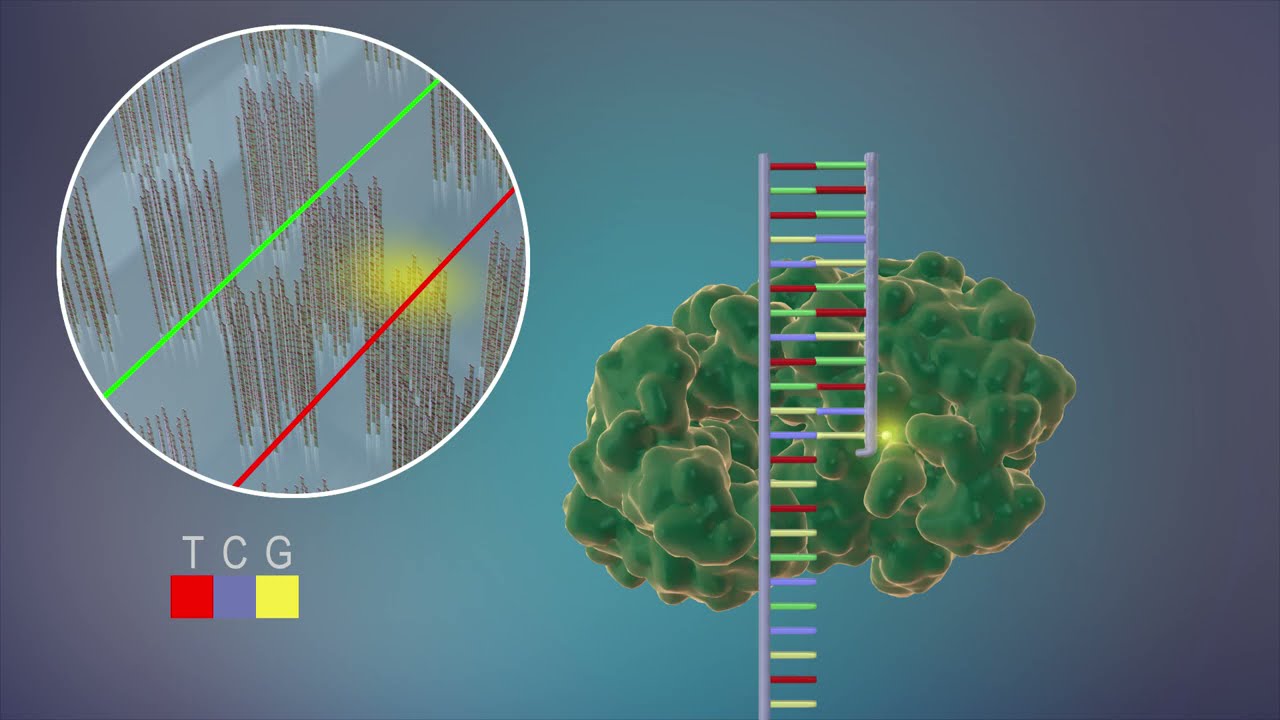 Sequencing at Speed