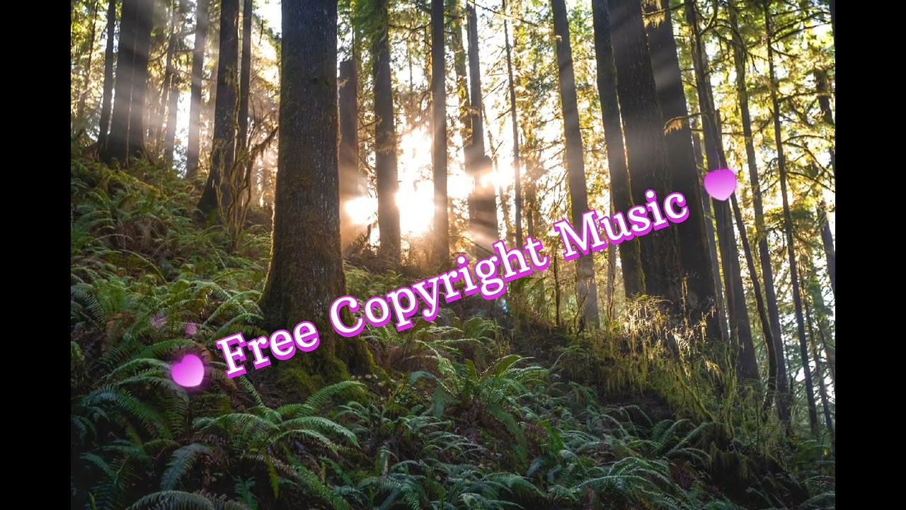 No Copyright Music