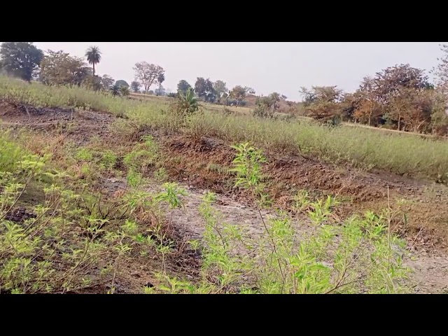 my river vlogs beautiful video
