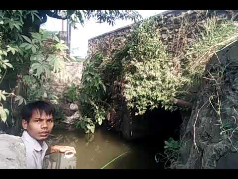 mancing ikan nila