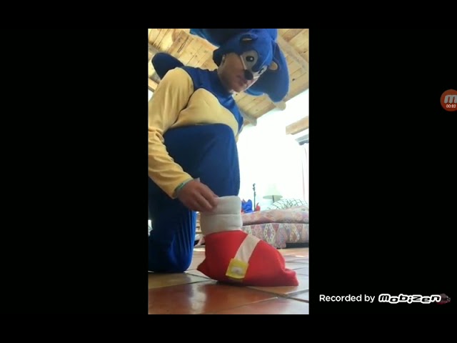 Sonic meme
