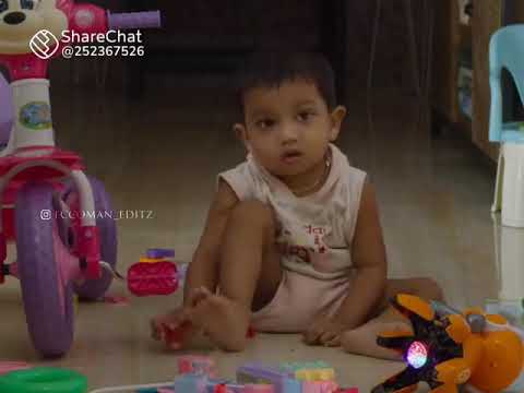 what'sapp status video