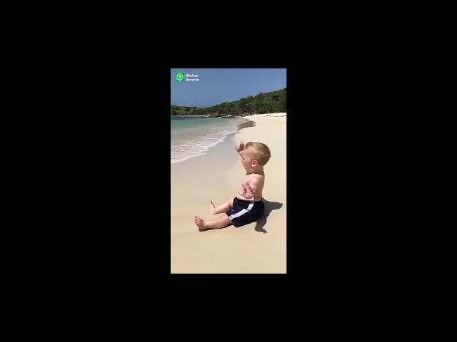 Funny videos