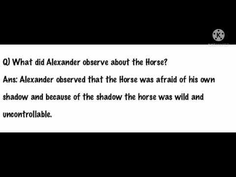 MORAL SCIENCE ALEXANDRA's HORSE QUESTION ANSWERS