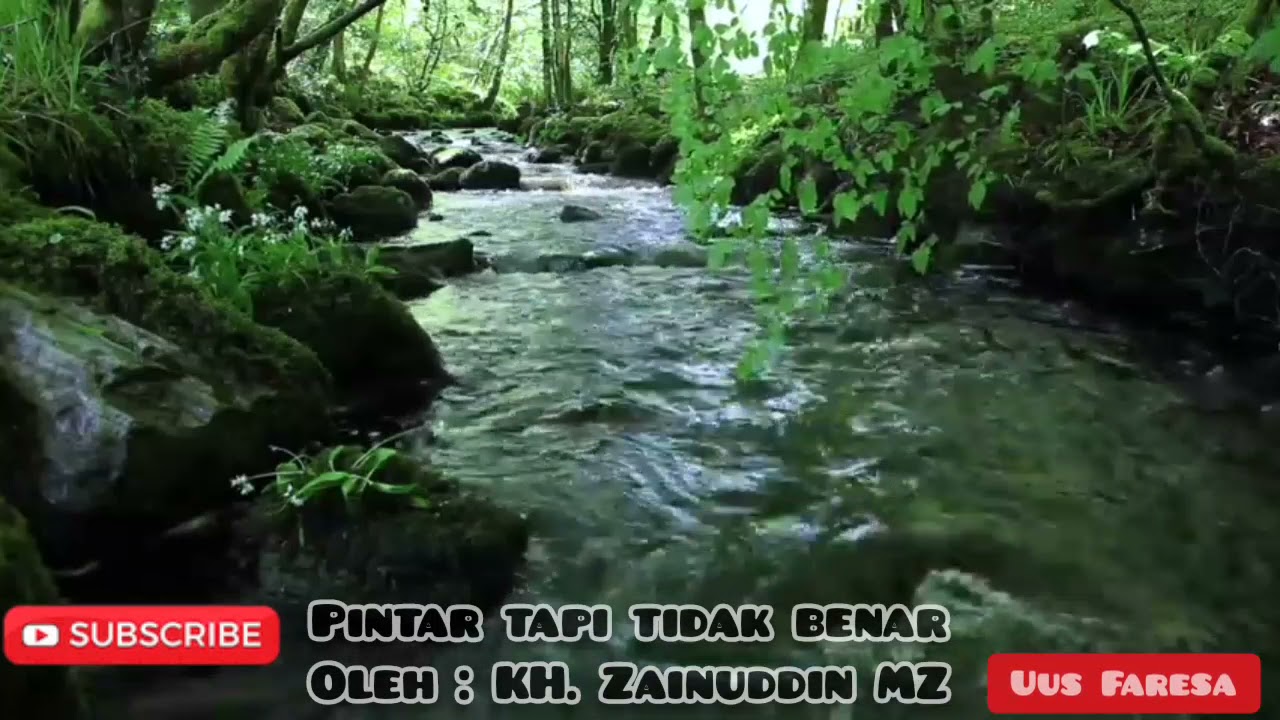 PINTAR TAPI TIDAK BENAR, KH. ZAINUDDIN MZ